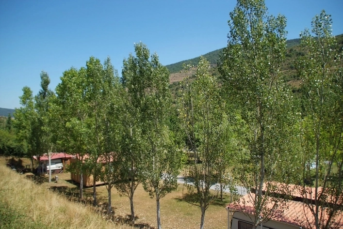 zobacz camping - zdjęcie 3