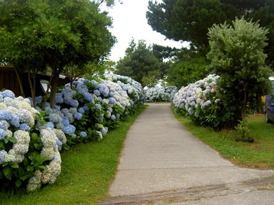 zobacz camping - zdjęcie 17