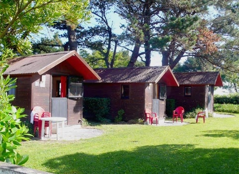 zobacz camping - zdjęcie 16