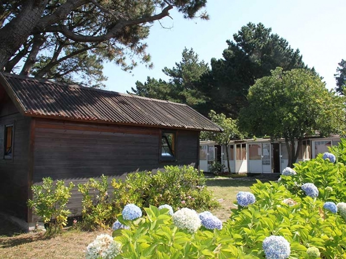 Camping los Cantiles - zdjęcie 3