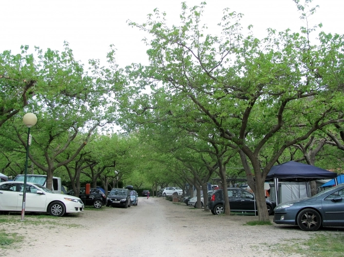 zobacz camping - zdjęcie 9