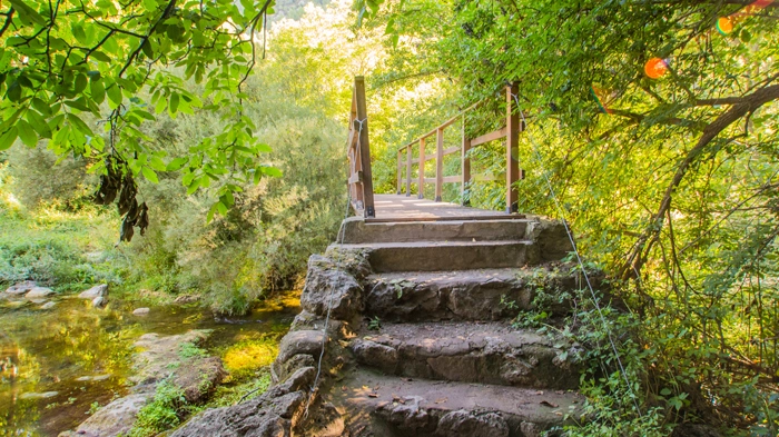 Camping los Cloticos - zdjęcie 1