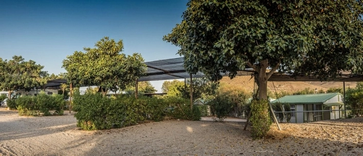 zobacz camping - zdjęcie 21