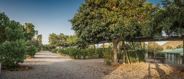 zobacz camping - zdjęcie 2