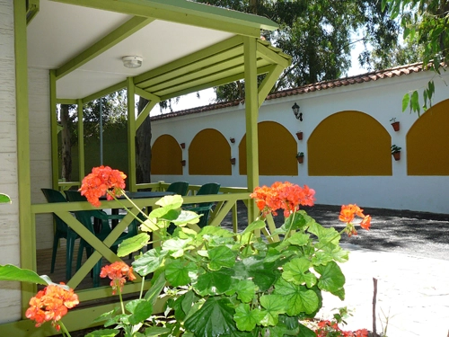 Camping los Eucaliptos - zdjęcie 3