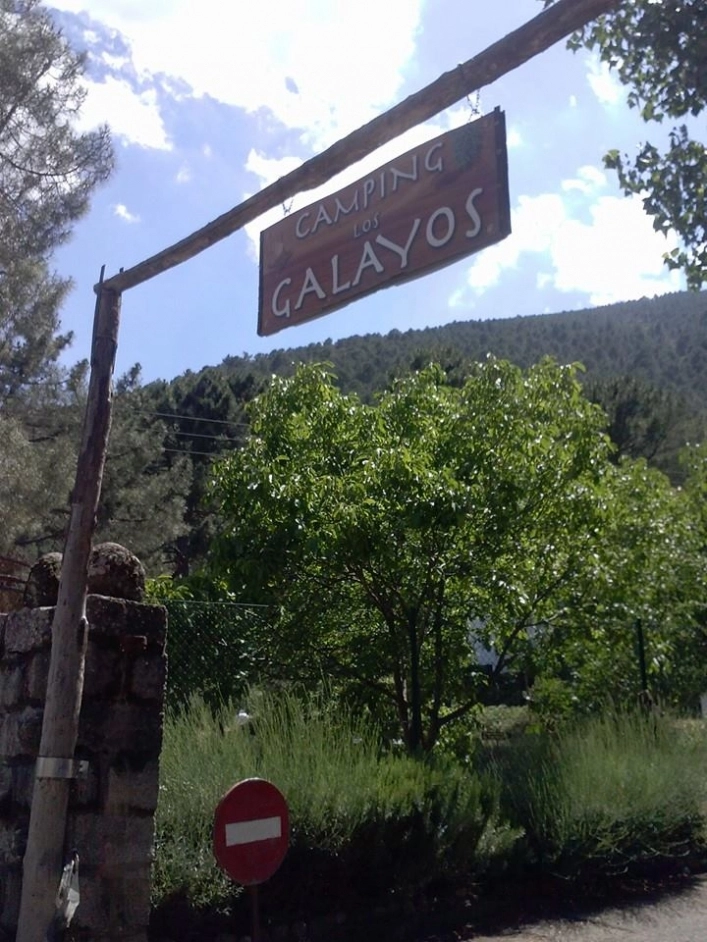 zobacz camping - zdjęcie 14