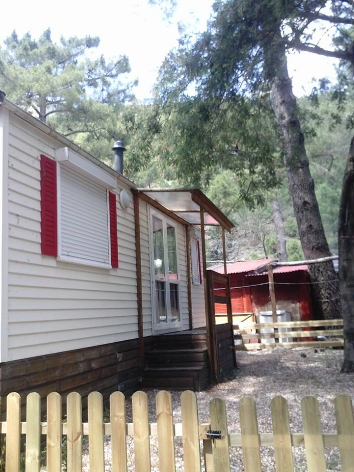 zobacz camping - zdjęcie 12