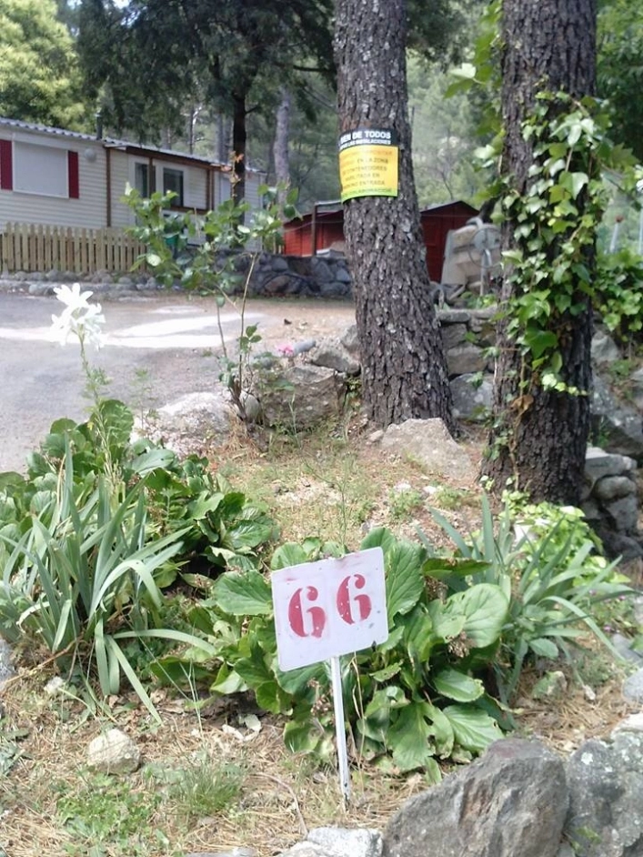 zobacz camping - zdjęcie 10