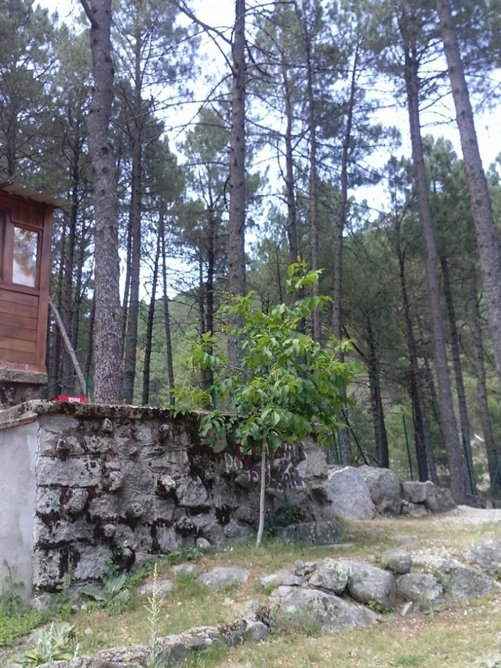 zobacz camping - zdjęcie 7