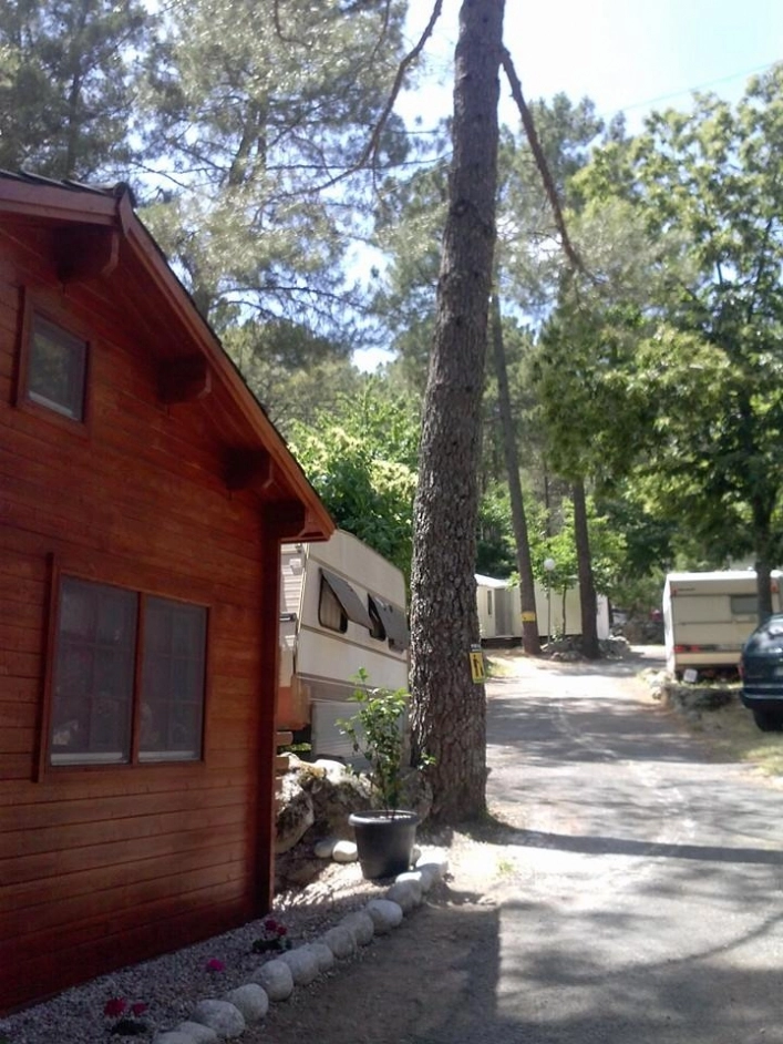 zobacz camping - zdjęcie 6