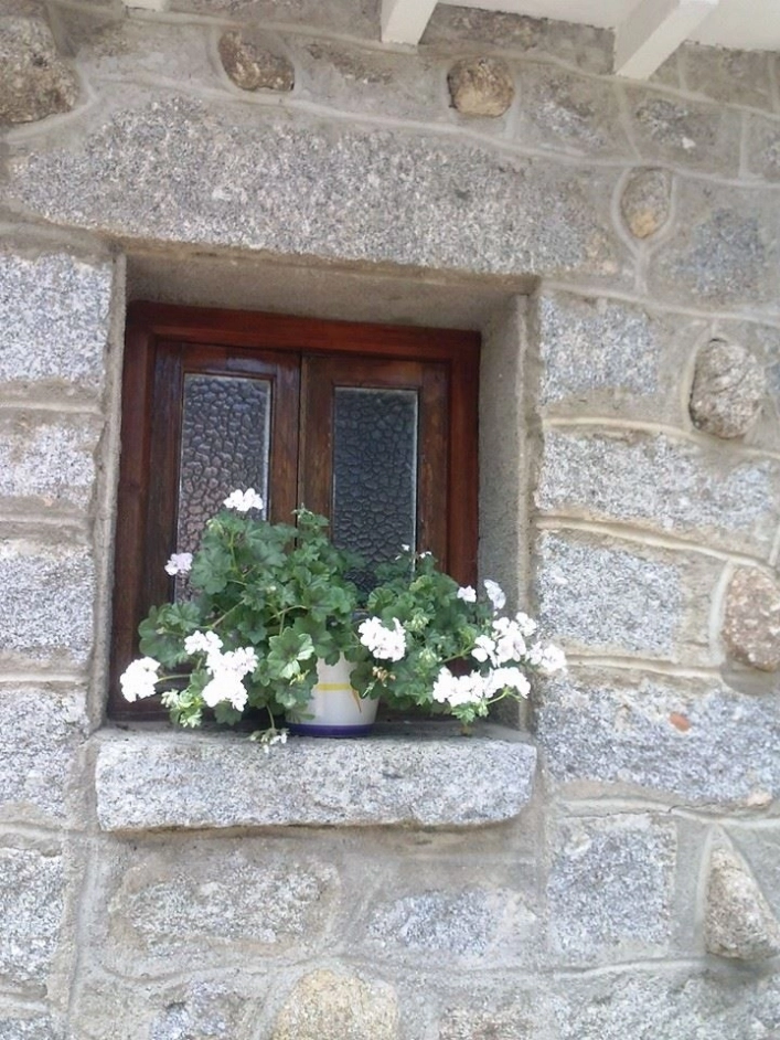 Camping los Galayos - zdjęcie 4