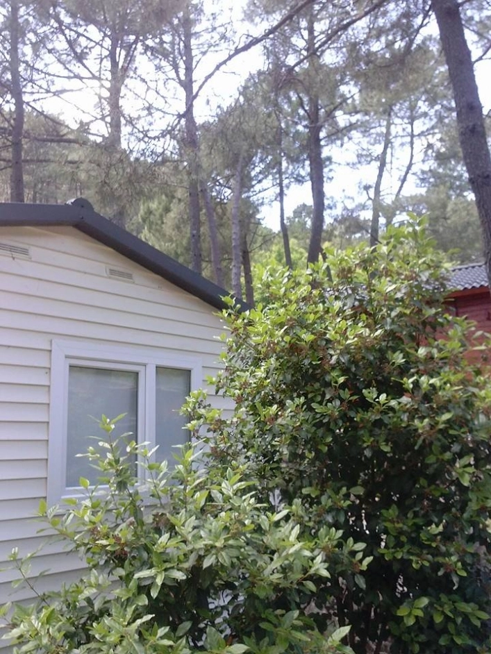 Camping los Galayos - zdjęcie 3