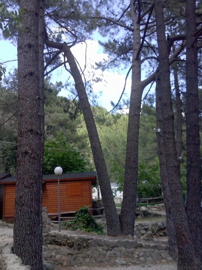 Camping los Galayos - zdjęcie 1