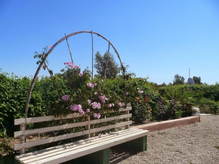 Camping los Gallardos - zdjęcie 4