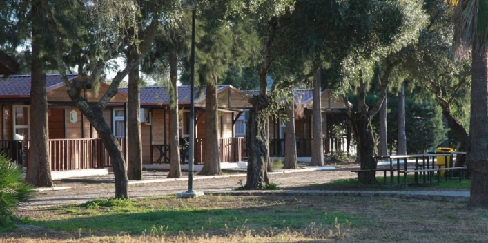 zobacz camping - zdjęcie 14