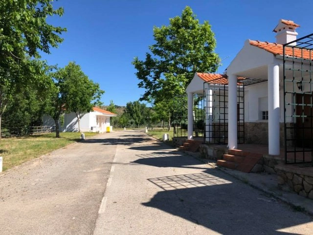 zobacz camping - zdjęcie 7