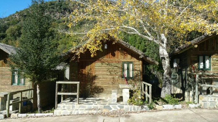 zobacz camping - zdjęcie 16