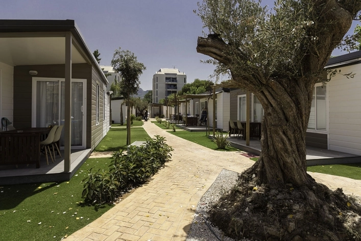 zobacz camping - zdjęcie 27