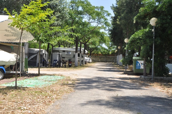 zobacz camping - zdjęcie 25