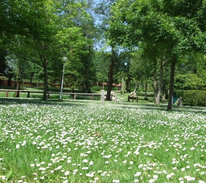 zobacz camping - zdjęcie 11