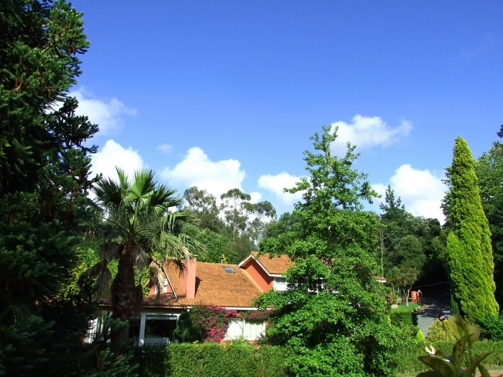 Camping los Manzanos - zdjęcie 1