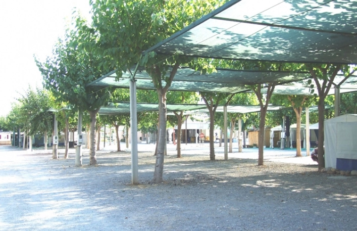 Camping los Naranjos - zdjęcie 3