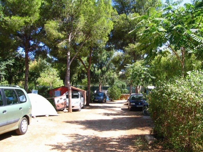 zobacz camping - zdjęcie 6