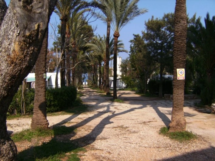 zobacz camping - zdjęcie 4