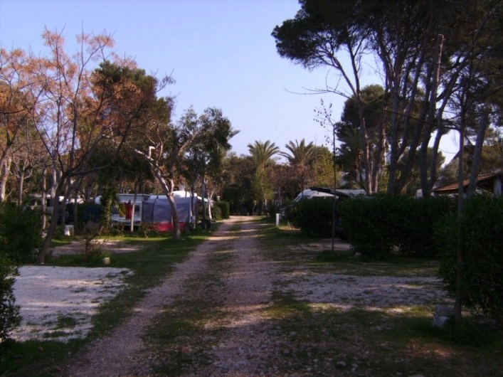 zobacz camping - zdjęcie 3