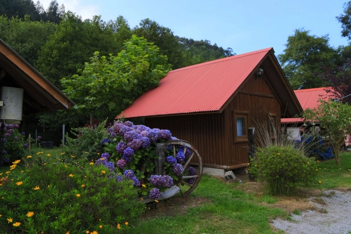 zobacz camping - zdjęcie 6