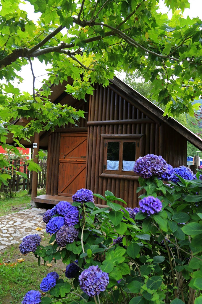 Camping Los Pradones - zdjęcie 3