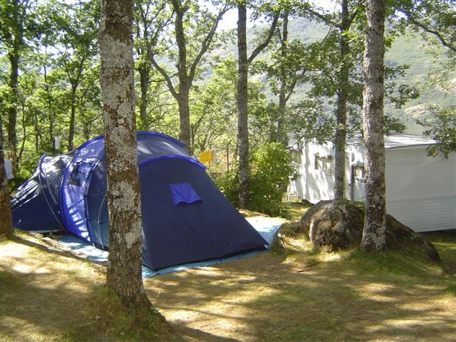 Camping los Robles - zdjęcie 1