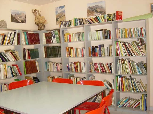 zobacz camping - zdjęcie 33