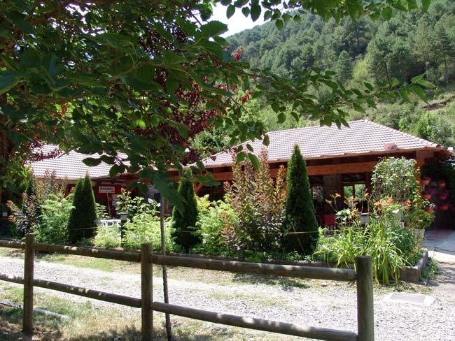 zobacz camping - zdjęcie 30