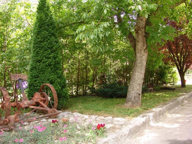 zobacz camping - zdjęcie 21