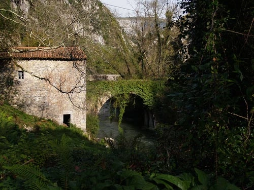 zobacz camping - zdjęcie 4