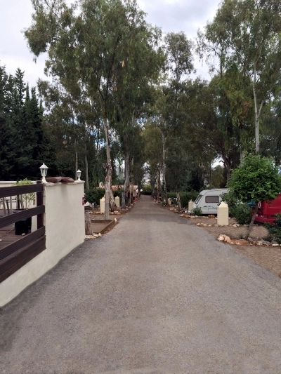 zobacz camping - zdjęcie 6