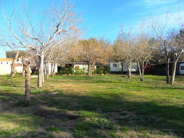 Camping Malvarrosa de Corinto - zdjęcie 4