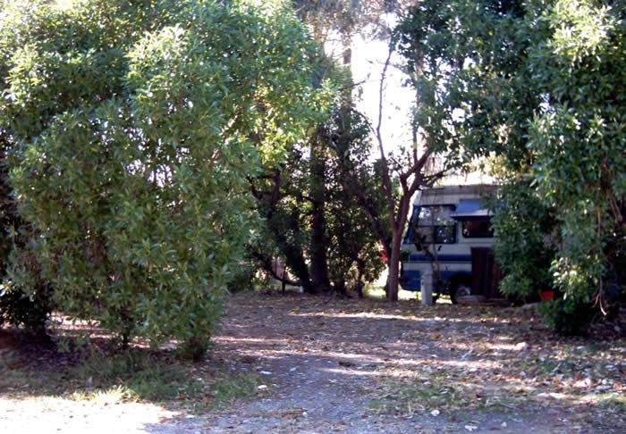 Camping Malvarrosa de Corinto - zdjęcie 3