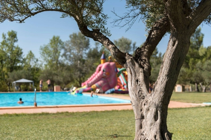 zobacz camping - zdjęcie 13