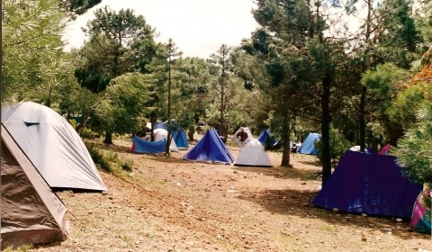 zobacz camping - zdjęcie 2