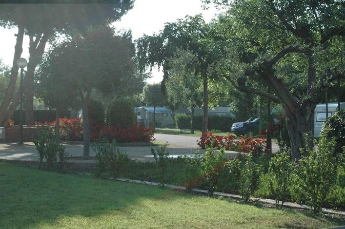 zobacz camping - zdjęcie 36