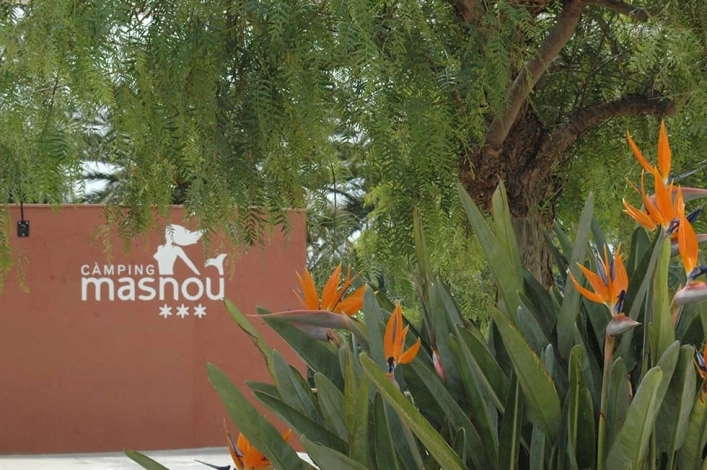 zobacz camping - zdjęcie 30