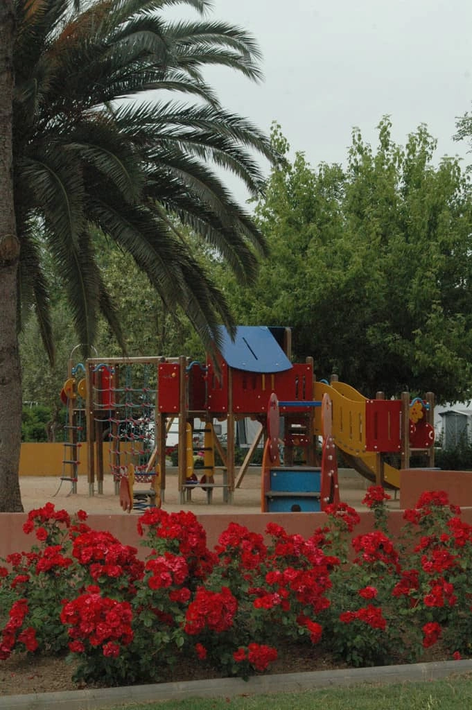 zobacz camping - zdjęcie 26