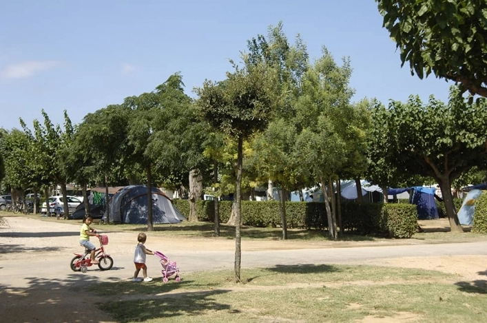 zobacz camping - zdjęcie 17