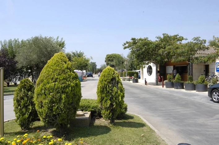 zobacz camping - zdjęcie 15