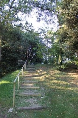 zobacz camping - zdjęcie 19