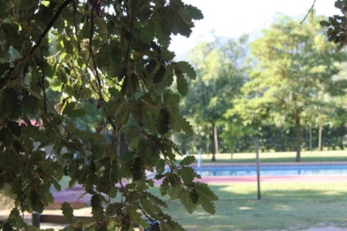 zobacz camping - zdjęcie 11