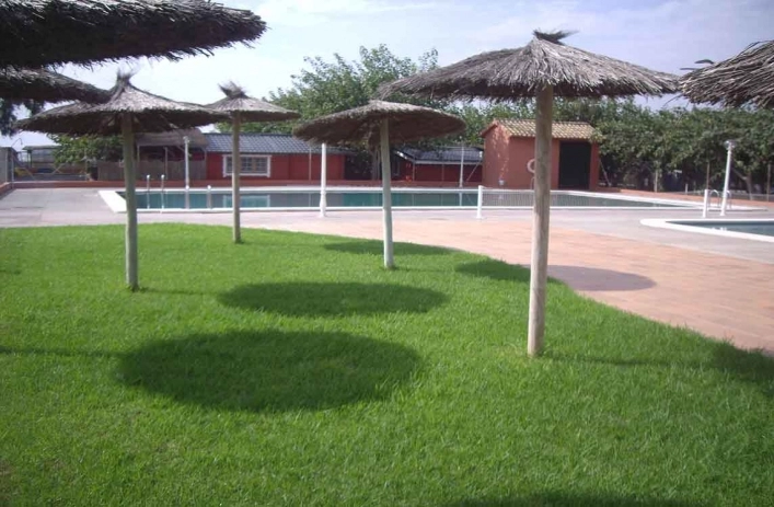 zobacz camping - zdjęcie 20