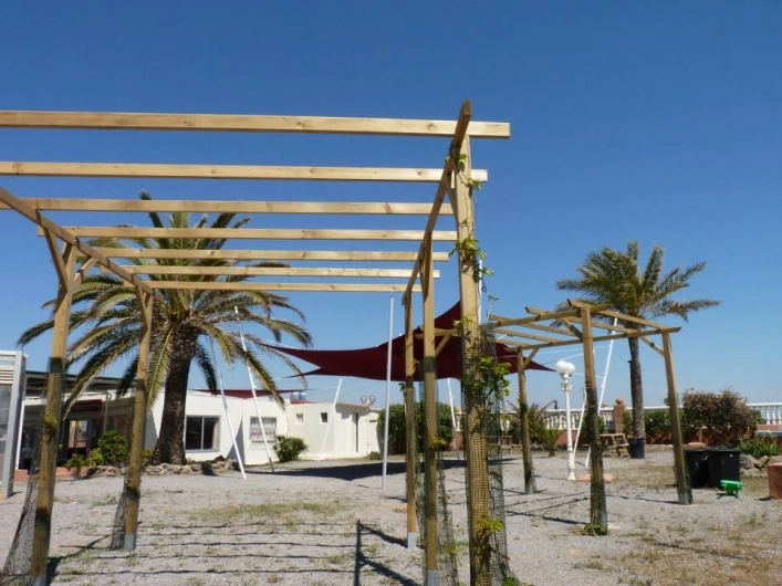 zobacz camping - zdjęcie 18